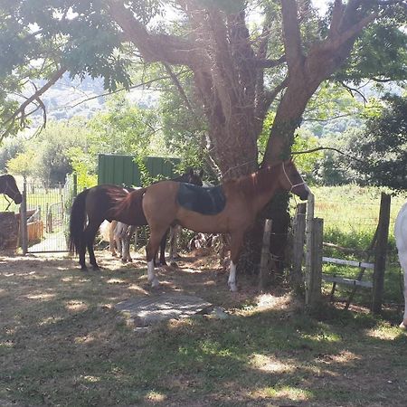 Apartamento Rural Zuri Cotorrio Luaran gambar